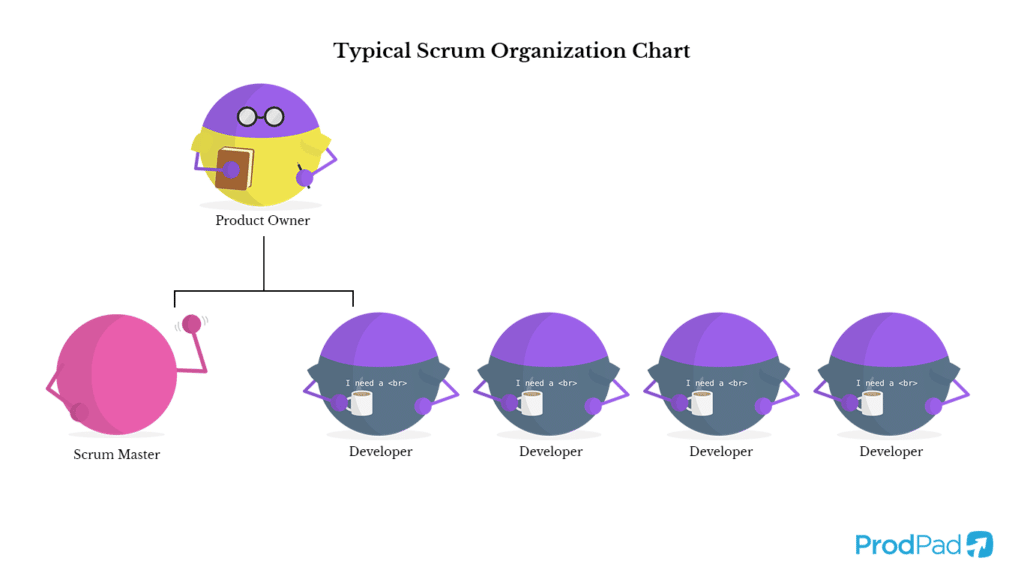 Scrum org chart